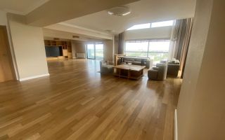 Duplex spectaculos 5 camere 266mp balcoane 32mp Pipera, Floreasca Nord - Poză 3