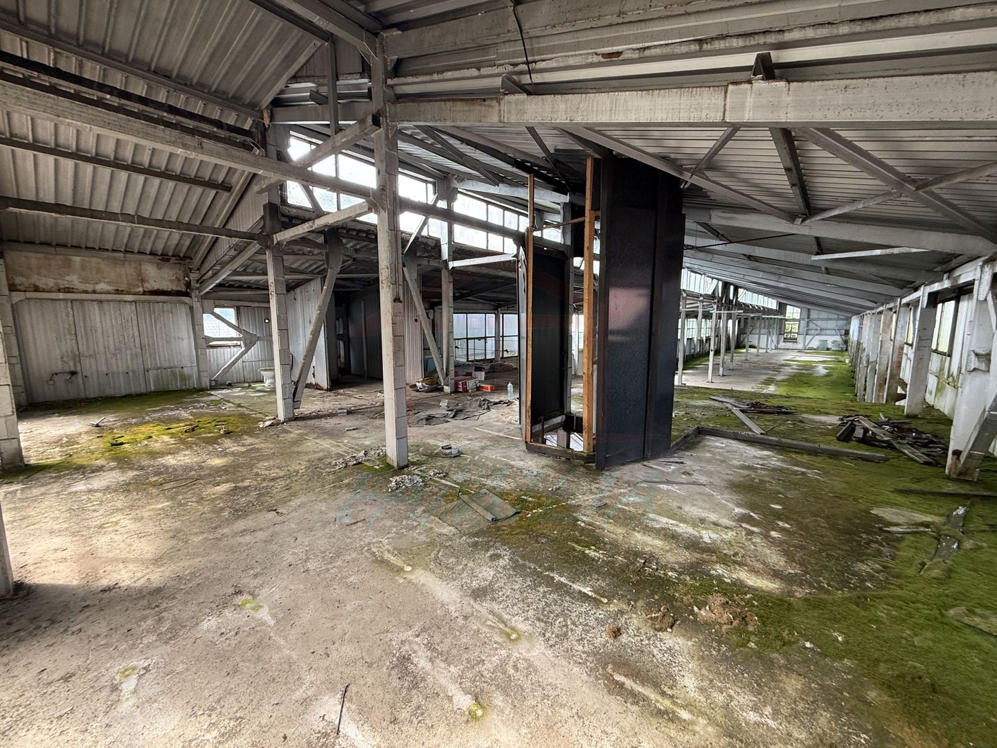 Hala In oras str Traian eligibil program "Tranzitie Justa" - Poză 4