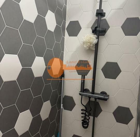 Apartament 2 Camere Auchan Titan - Poză 12