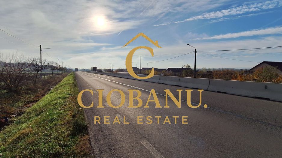 Hala de vanzare in Racarii de Jos - Poză 18