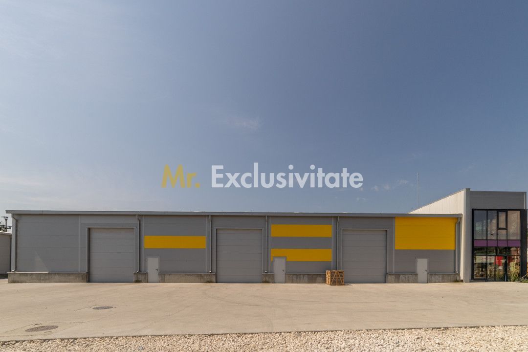 Inchiriere hala noua zona Bascov la DN 7C - Poză 7