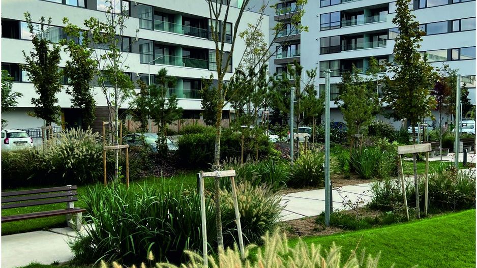 Apartament 3 camere | Balcon| Faza 3 - Poză 6