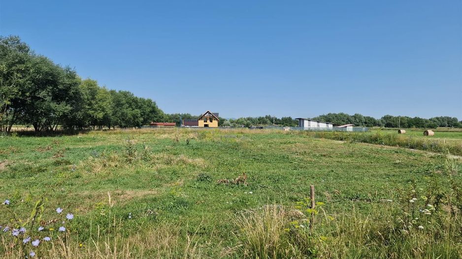 Oportunitate investitie, teren Bod, Brasov. - Poză 2