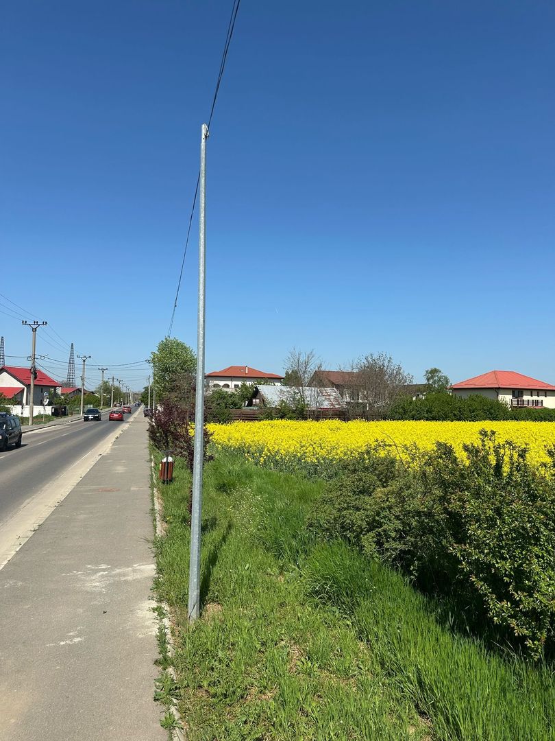 Teren intravilan 26.300 mp Saftica Balotesti-  PUZ în lucru - Poză 19