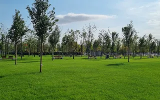 Apartament spatios, 3 camere + balcon, Grand Arena-Brancoveanu - Poză 17