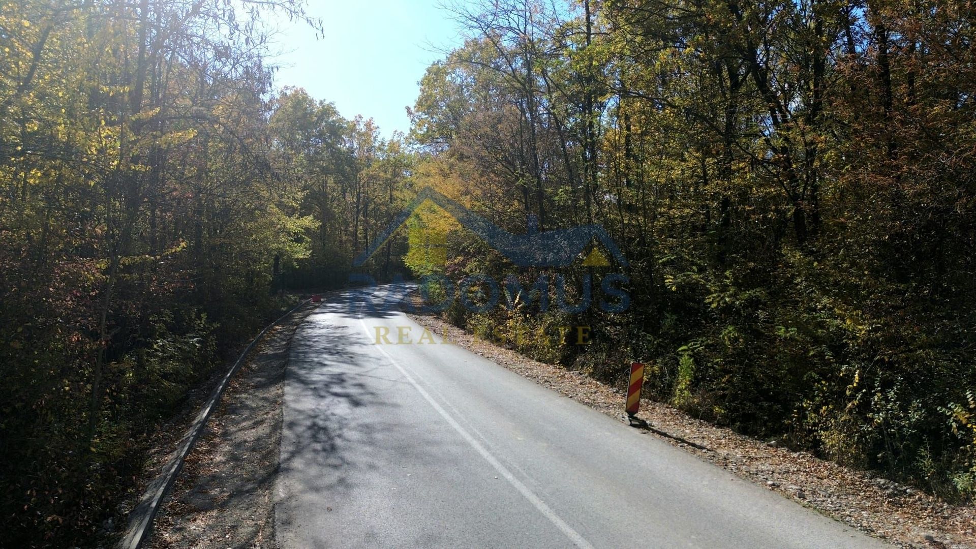 TEREN INTRAVILAN ÎN PĂDURE LA VĂRBILA - PRAHOVA – COMISION 0% - Poză 6