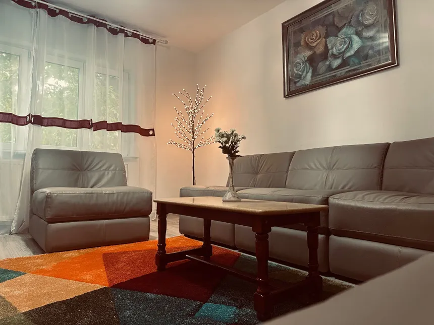 3 camere | spatios & decomandat | TM — fotografia 3
