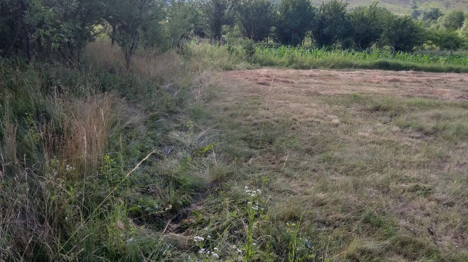 Teren Sasca Română-1079 mp - Poză 5