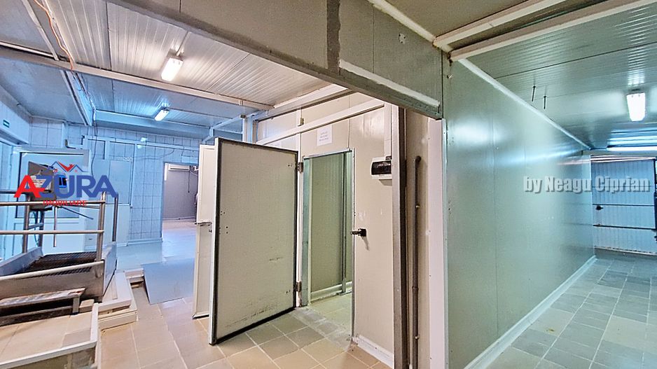 AZURA Imobiliare - Hala Fabrica de procesare Carne - Poză 13