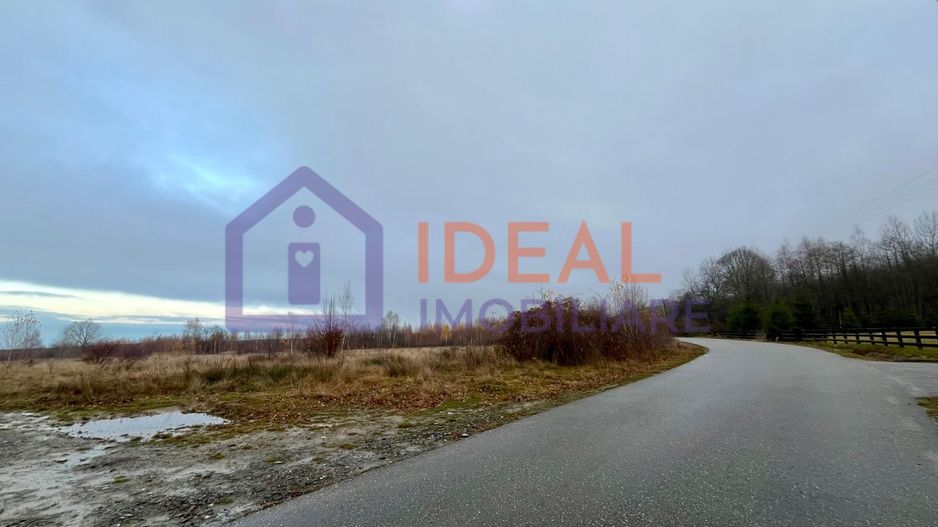 Teren extravilan 6.500 mp – două căi de acces, Cârțișoara - Poză 1