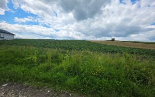TEREN INTRAVILAN | MOARA NICA, SUCEAVA | 115.000€ - Poză 7