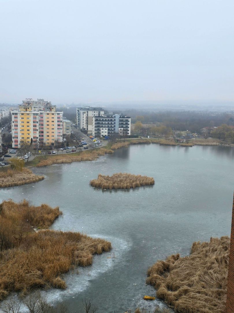 🏡 Apartament 2 camere decomandate | Zona Iulius Mall | - Poză 5