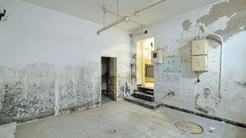PIATA ROMANA - Calea Dorobanti, ASE | Vila - Spatiu Comercial - Poză 36
