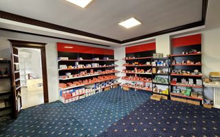 Spatiu comercial/ Showroom/ Productie- 225mp/ 450 mp - Central- Podu Ros - Poză 3