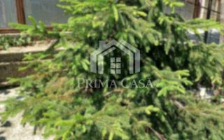 Casa zona Dorobanti teren 500mp toate utilitatile 58.000 euro - Poză 6