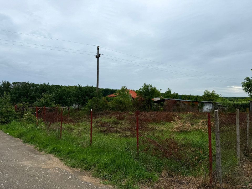 Teren Intravilan Padurea Noroieni - Poză 4