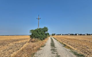 Teren intravilan 4428 mp - Balotesti - Poză 3