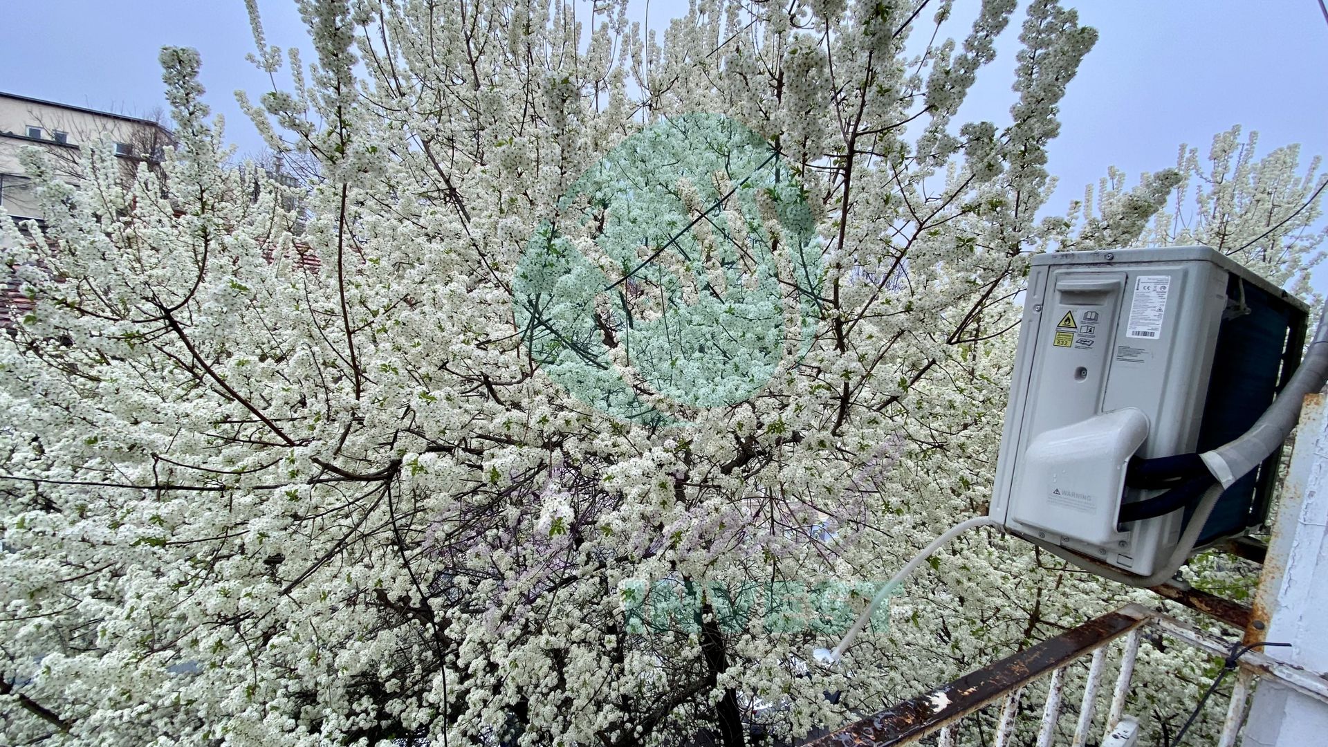 Apartament cochet de 2 camere, în inima cartierului Primăverii - Poză 10