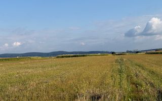 Teren extravilan de vânzare | Horodnic de Sus | 45 Ari - Poză 6