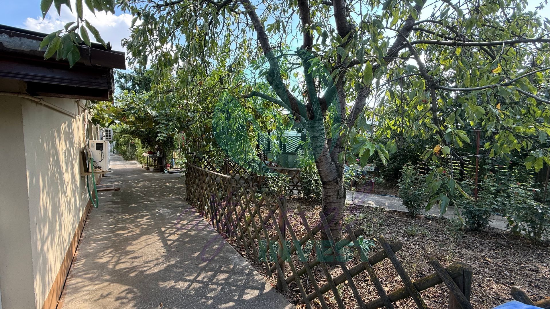 Casă parter + 1100 mp teren în Popești-Leordeni - Poză 7