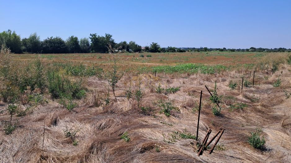 Teren Intravilan 500 mp de Vânzare – Vidra - Poză 2