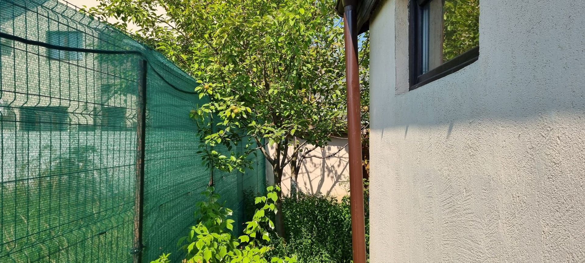 Casă individuală 4 camere - Poză 22