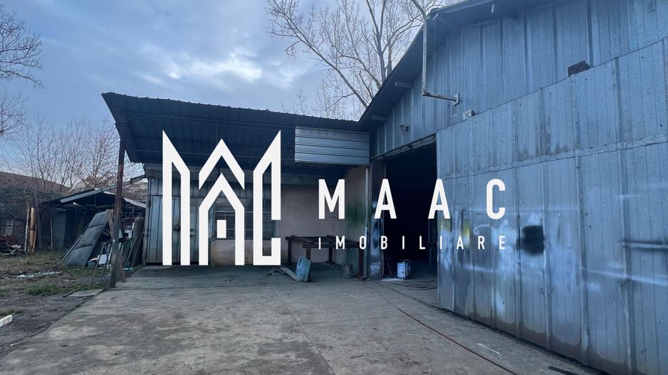 Hala | 380 MP | Teren 800 MP - Poză 1