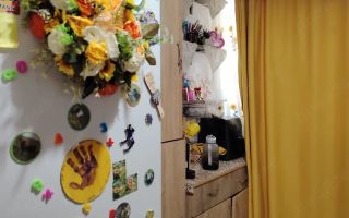 Apartament cu 1 camera / 25 mp/ zona Zimbru - Poză 2