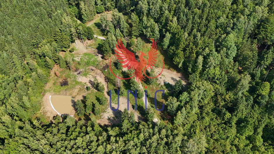 18000 mp de natura pura ,Lupeni, langa Straja - Poză 1