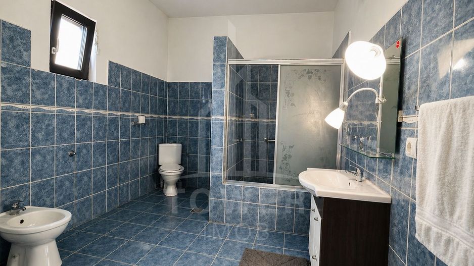 Casă pe un nivel -Sura Mare - Poză 8