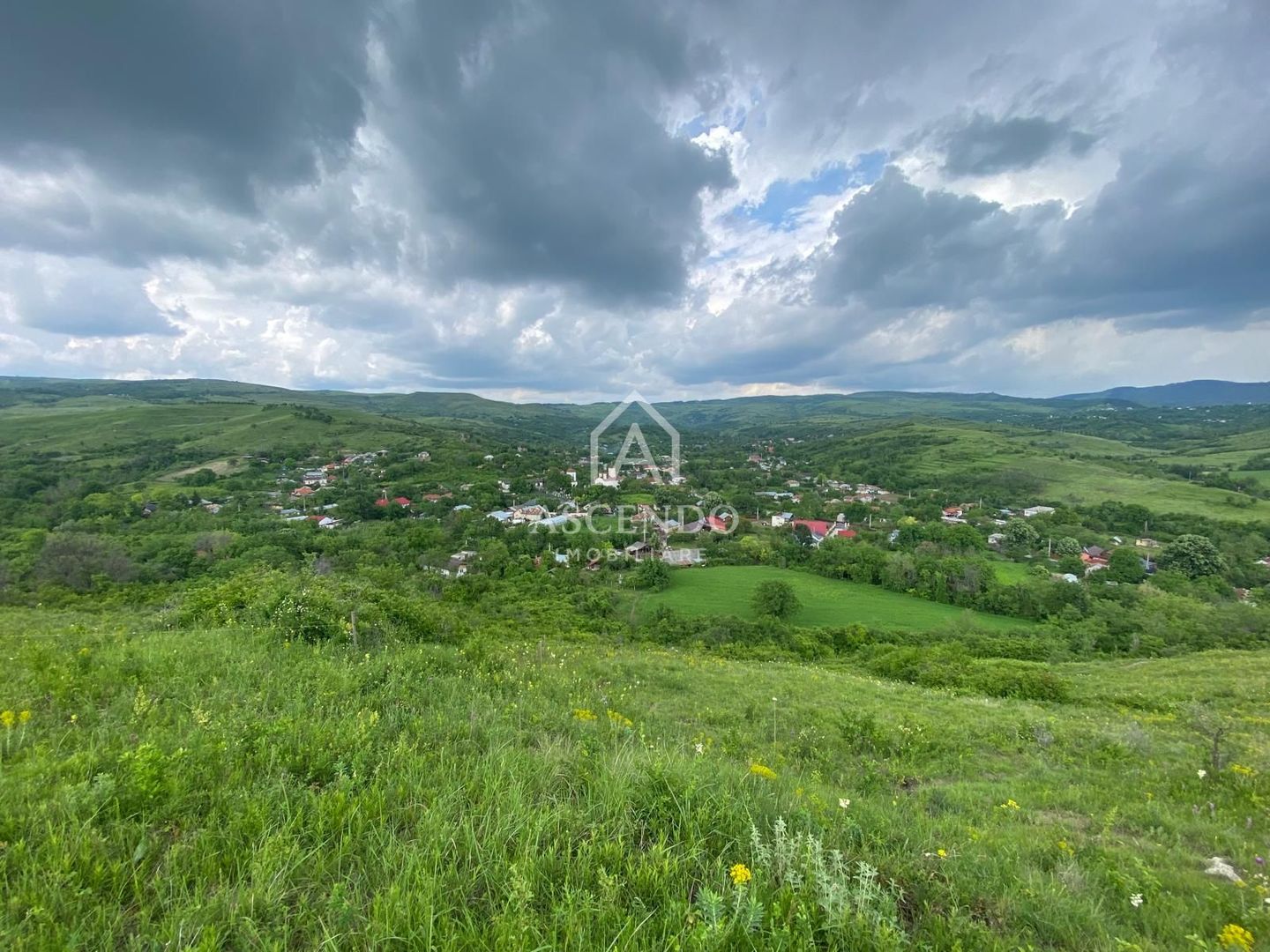 Domeniu 15.900 mp în Fințești | Casă + Investiție Dealu Mare - Poză 19
