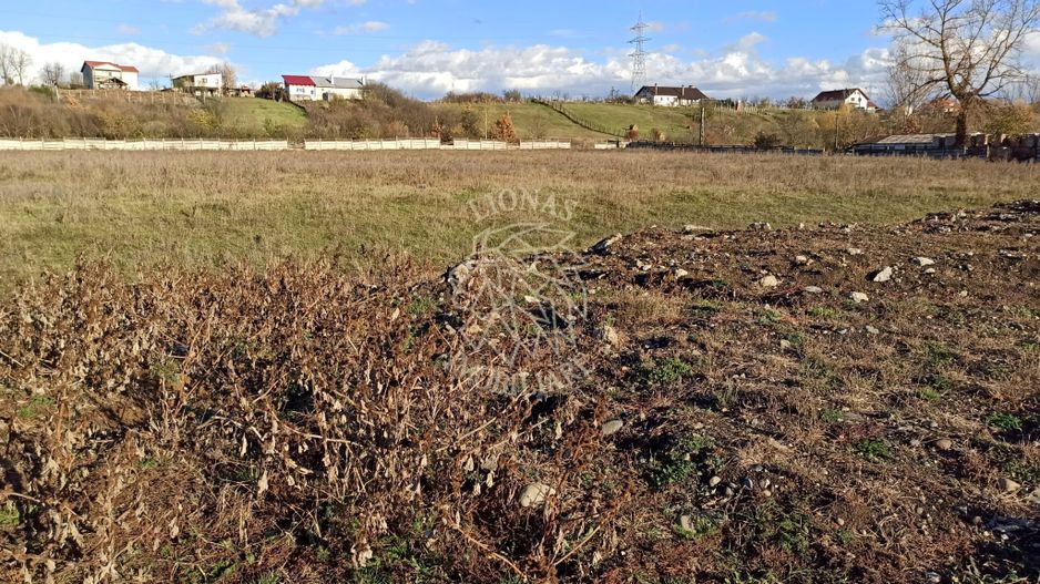 Teren intravilan 2,06 ha-parcelabil- investitie/hala-Zona Industriala - Poză 4