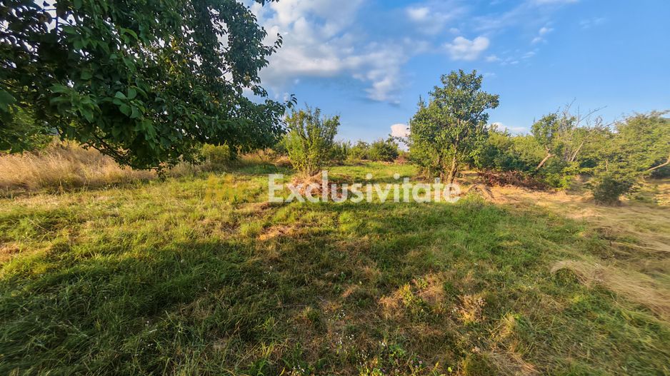 Teren intravilan 1.600 mp Mioveni – Zona Pruni - Poză 7