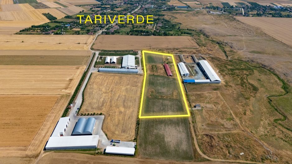 Cogealac - Tariverde – Ferma cu teren intravilan, utilitati racordate! - Poză 1