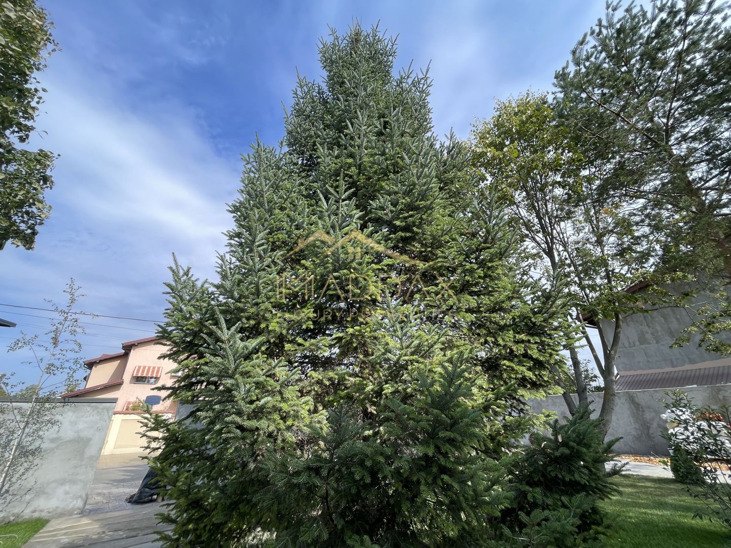 Vila cu 5 camere // * 565 mp gradina* // Tunari - Poză 59