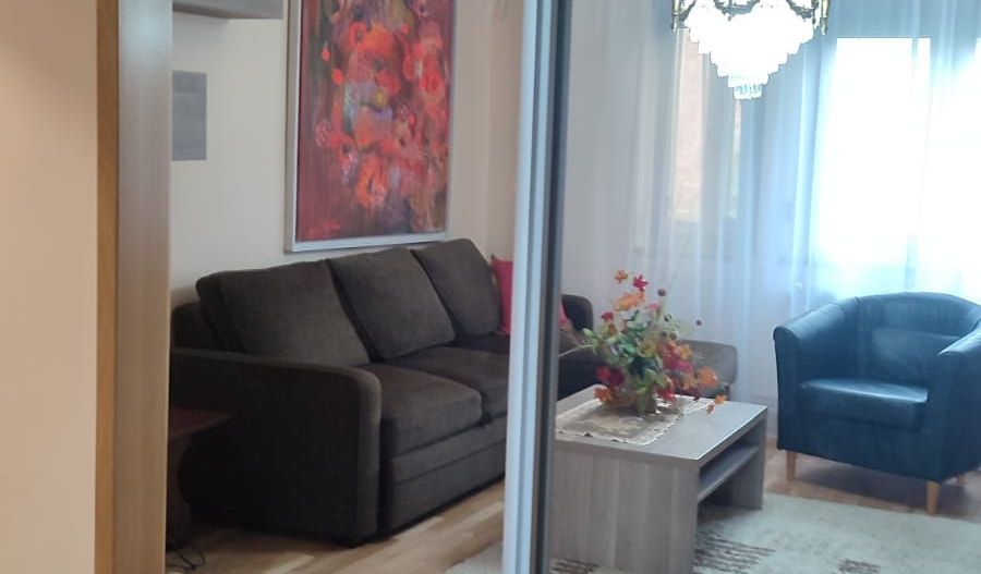 APARTAMENT 3 CAMERE PIATA UNIRII - Poză 11