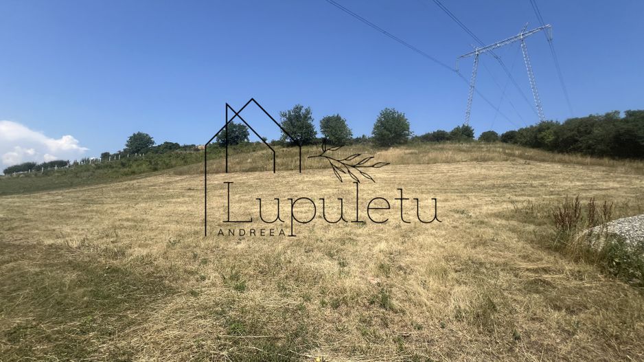 Teren Intravilan |5.000 MPU | Șura-Mare | - Poză 4