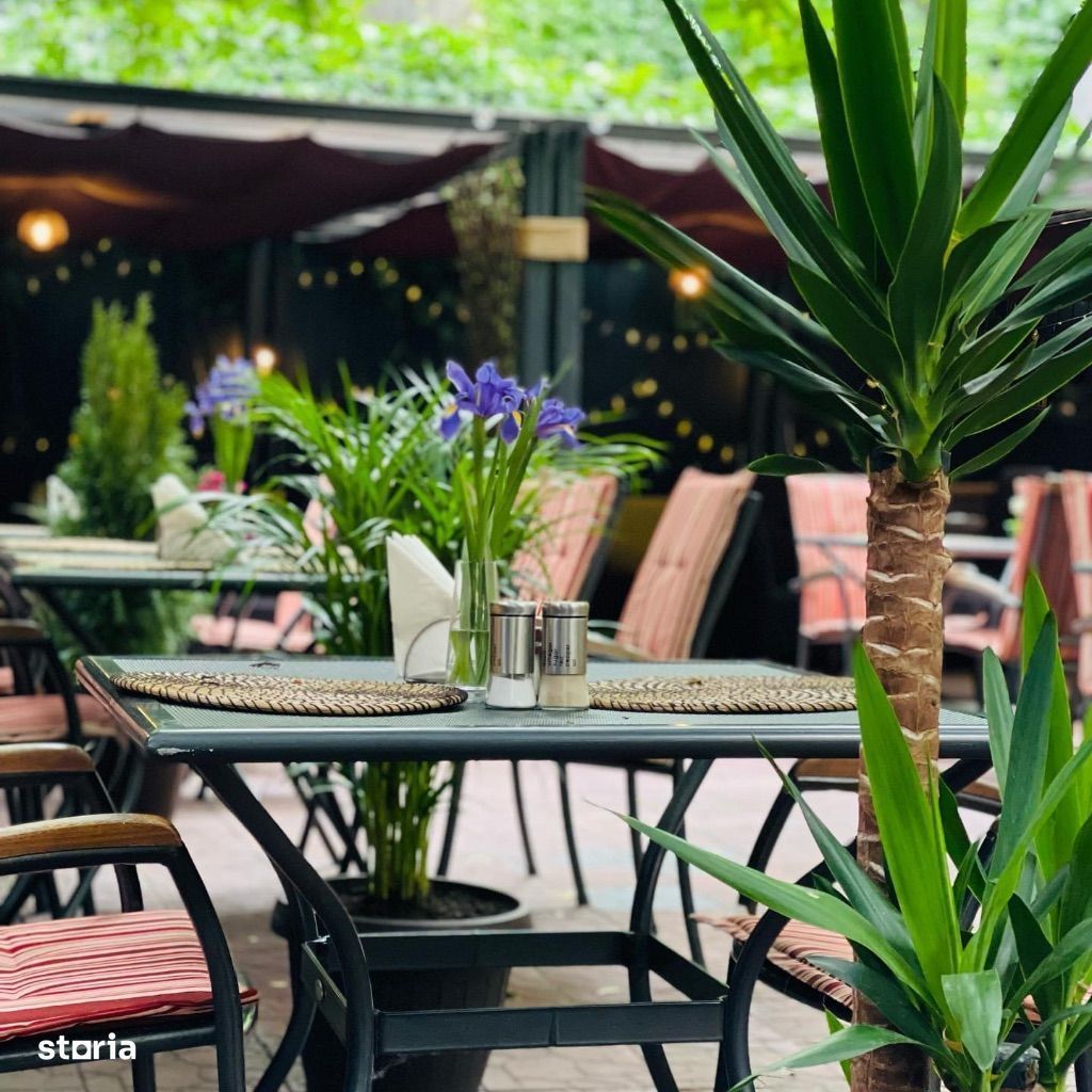 Predare afacere restaurant - Poză 2