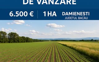 Teren extravilan agricol 1 ha de vânzare- Damienești, Bacău - Poză 1