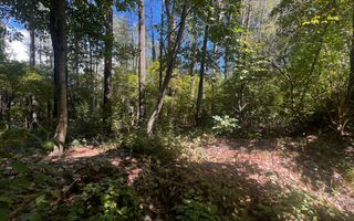 Teren zona Nord/ 6000 mp - Poză 2