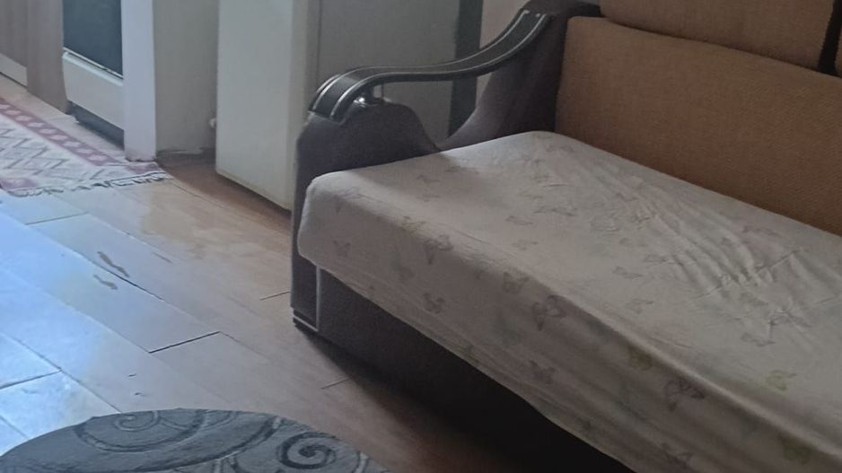 Casa cu curte proprie/ metrou Brancoveanu/Parc Tineretului - Poză 5