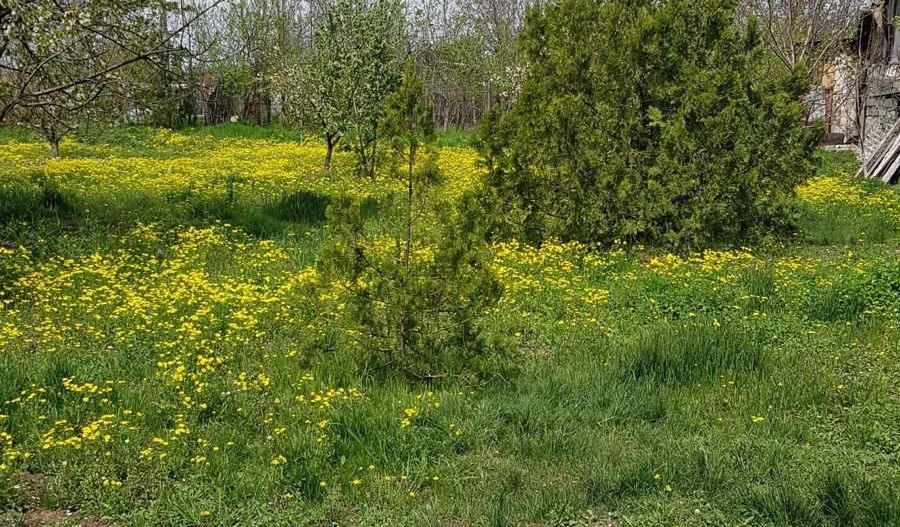 Teren 2.600 mp, utilități, Str. Merișor – Giurgiu - Poză 10