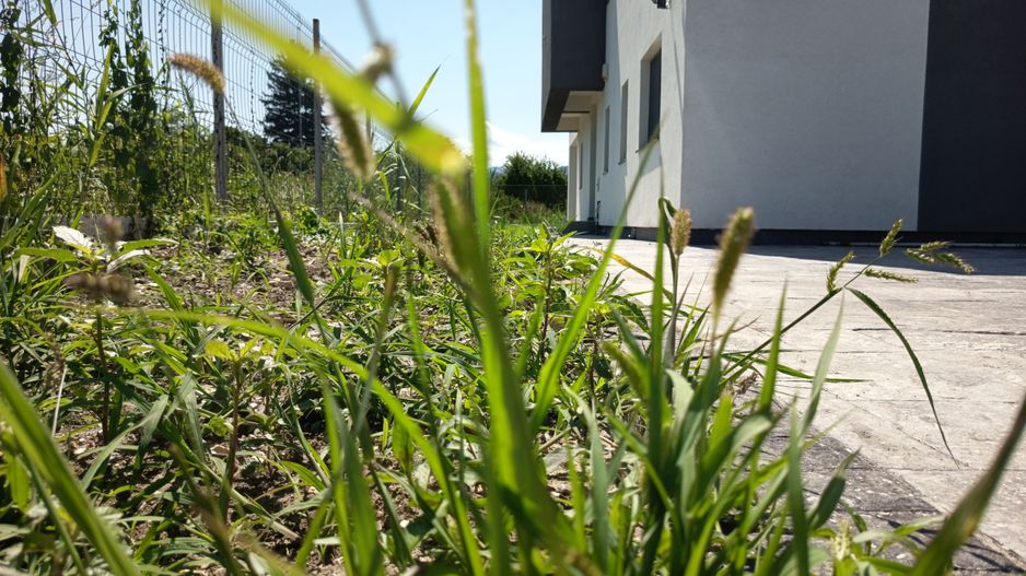 Vila impozanta, aspect deosebit, configuratie tip duplex, view, Brasov - Poză 5