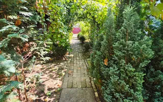Casă 4 camere, teren 315 mp, garaj – Cantacuzino, Ploiești - Poză 46