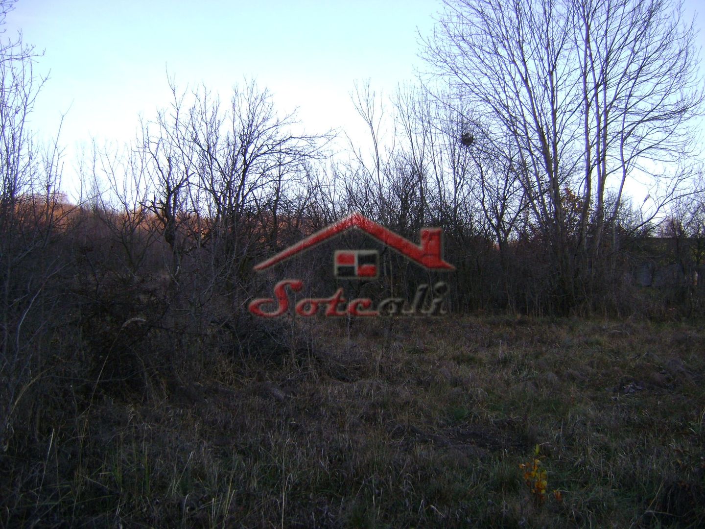 Teren de vanzare Cornu de Jos - Poză 2