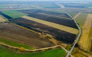 Teren Sânpaul lângă șosea - Poză 7