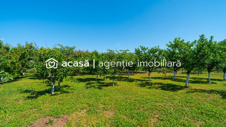 Casă spațioasă cu teren generos în Felnac – la 18 km de Arad - Poză 8