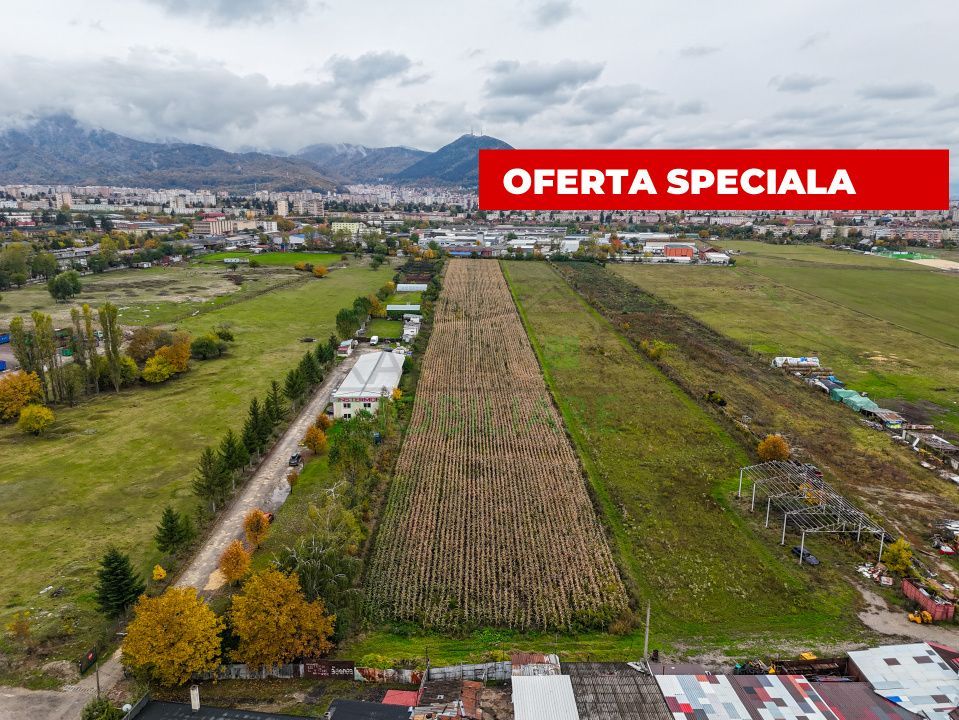 Teren industrial- Timișul Sec oportunitate investițională - Poză 2