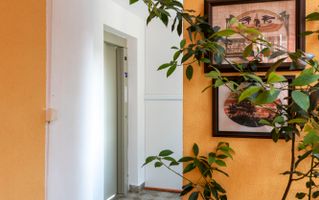 Pensiune - Baile Olanesti - Zona Centrala - Poză 52