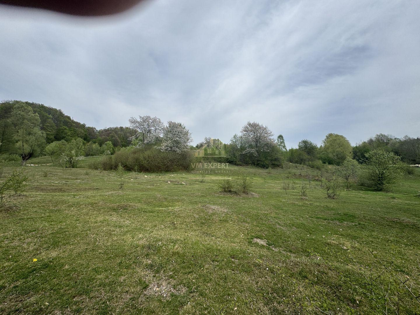 TEREN EXTRAVILAN 40000 MP, ALBESTI DE MUSCEL, CANDESTI - Poză 8